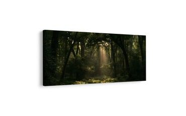 TABLEAU SUR TOILE – COIN DE FORÊT DANS LA PÉNOMBRE - TABLEAUX FORÊT - TABLEAUX