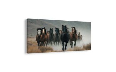 SLIKA KRDO KONJA U POKRETU - SLIKE KONJA - SLIKE