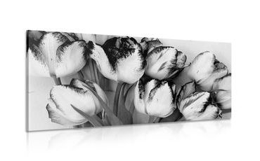 CANVAS PRINT TULIPS WITH A SPRING TOUCH IN BLACK AND WHITE - BLACK AND WHITE PICTURES - PICTURES