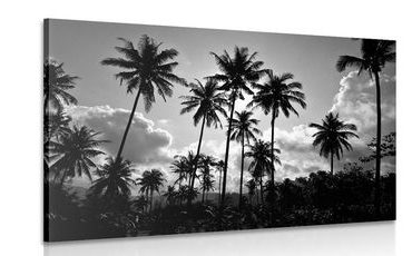 IMPRESSION SUR TOILE DE COCOTIERS SUR LA PLAGE EN NOIR ET BLANC - IMPRESSIONS SUR TOILE NOIR ET BLANC - IMPRESSION SUR TOILE