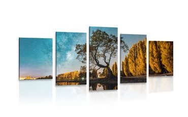 5-TEILIGES WANDBILD BAUM UNTER DEM STERNENHIMMEL - BILDER VON NATUR UND LANDSCHAFT - BILDER