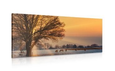 CANVAS PRINT HORSES IN A SNOWY LANDSCAPE - PICTURES OF NATURE AND LANDSCAPE - PICTURES
