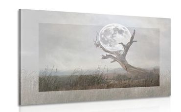 Slika luna v naročju drevesa