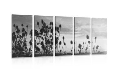 5-PIECE CANVAS PRINT GRASS BLADES IN A FIELD IN BLACK AND WHITE - BLACK AND WHITE PICTURES - PICTURES