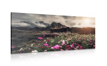 CANVAS PRINT MEADOW OF BLOOMING FLOWERS - PICTURES OF NATURE AND LANDSCAPE - PICTURES