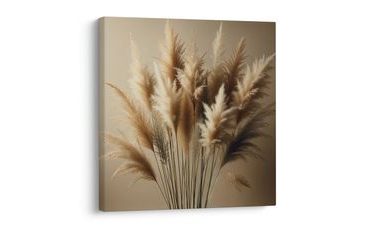 OBRAZ JEMNÉ STÉBLA PAMPOVÉ TRÁVY - OBRAZY TRÁVY - OBRAZY