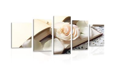 ΕΙΚΌΝΑ 5 ΜΕΡΏΝ VINTAGE ΝΕΚΡΉ ΦΎΣΗ ΜΕ ΚΛΕΙΔΊ - ΠΊΝΑΚΕΣ VINTAGE ΈΝΑ ΡΕΤΡΌ - ΠΊΝΑΚΕΣ