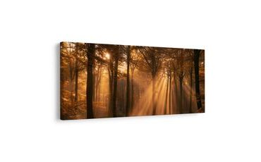 TABLEAU SUR TOILE – FORÊT D’AUTOMNE BAIGNÉE DE LUMIÈRE - TABLEAUX FORÊT - TABLEAUX