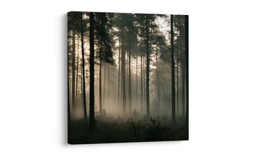 TABLEAU SUR TOILE – FORÊT MYSTÉRIEUSE DANS UNE BRUME LÉGÈRE - TABLEAUX FORÊT - TABLEAUX