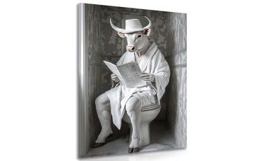 OBRAZ BÍLÝ BÝK S NOVINAMI NA ZÁCHODĚ - OBRAZY BUVOLI A KRÁVY - OBRAZY