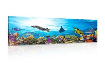 Picture coral reef with fish and turtles