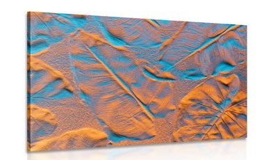 WANDBILD TEXTUR DER BLÄTTER AUF EINEM SANDSTRAND - BILDER VON NATUR UND LANDSCHAFT - BILDER