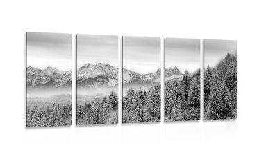 QUADRO IN 5 PARTI MONTAGNA GHIACCIATA IN BIANCO E NERO - QUADRI BIANCO E NERO - QUADRI