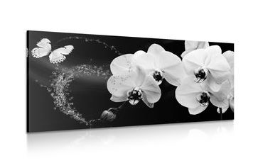 CANVAS PRINT ORCHID AND A BUTTERFLY ON AN ABSTRACT BACKGROUND - BLACK AND WHITE PICTURES - PICTURES