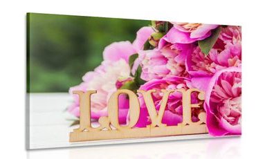 OBRAZ PIVOŇKY S NÁPISEM LOVE - OBRAZY S CITÁTY A NÁPISY - OBRAZY
