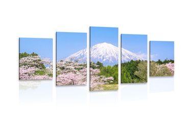 5-PIECE CANVAS PRINT FUJI VOLCANO - PICTURES OF NATURE AND LANDSCAPE - PICTURES