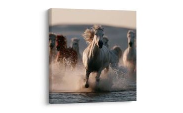 TABLEAU SUR TOILE – CHEVAUX SAUVAGES SUR L’EAU - TABLEAUX DE CHEVAUX - TABLEAUX