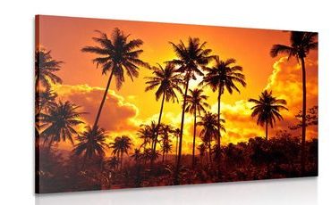 IMPRESSION SUR TOILE DE COCOTIERS SUR LA PLAGE - IMPRESSION SUR TOILE DE NATURE ET PAYSAGE - IMPRESSION SUR TOILE