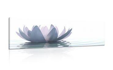 CANVAS PRINT LOTUS FLOWER - PICTURES FLOWERS - PICTURES