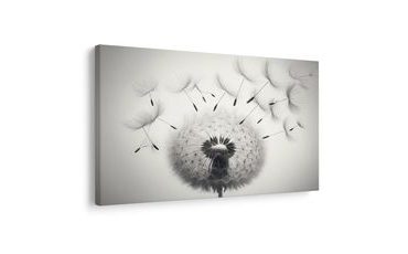 КАРТИНА НА ПЛАТНО – ЧЕРНО-БЯЛА ГЛУХАРЧЕ - КАРТИНИ ГЛУХАРЧЕ - КАРТИНИ