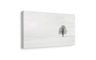 TABLEAU SUR TOILE – ARBRE DE VIE EN HIVER - TABLEAUX ARBRE DE VIE - TABLEAUX