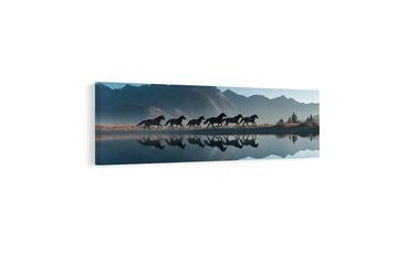 SLIKA SLOBODA U PLANINAMA - SLIKE KONJA - SLIKE