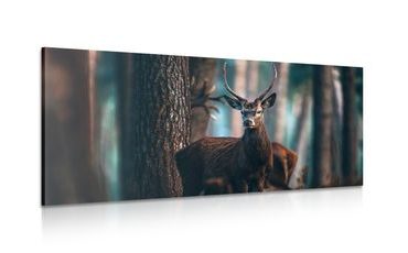 WANDBILD HIRSCH IM WALD - BILDER TIERE - BILDER