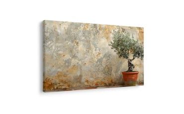OBRAZ POKOJOVÝ OLIVOVNÍK U ZDI - OBRAZY ZÁTIŠÍ - OBRAZY