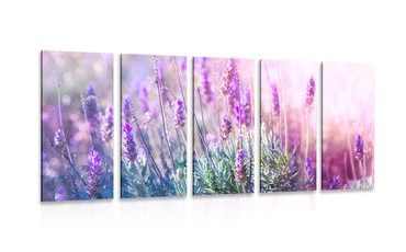 5-PIECE CANVAS PRINT MAGICAL LAVENDER FLOWERS - PICTURES FLOWERS - PICTURES