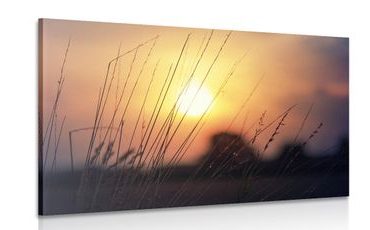 CANVAS PRINT SUNRISE OVER A MEADOW - PICTURES OF NATURE AND LANDSCAPE - PICTURES