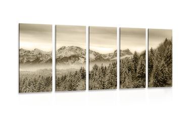 QUADRO IN 5 PARTI MONTAGNA GHIACCIATA IN SEPPIA - QUADRI BIANCO E NERO - QUADRI