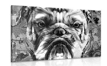 CANVAS PRINT BULLDOG IN BLACK AND WHITE - BLACK AND WHITE PICTURES - PICTURES
