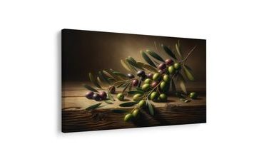 OBRAZ STŘEDOMOŘSKÉ OLIVY - OBRAZY STROMY A LISTY - OBRAZY