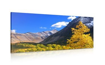 QUADRO BELLISSIMA NATURA IN KAMCHATKA, RUSSIA - QUADRI DI NATURA E PAESAGGIO - QUADRI