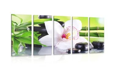 5-TEILIGES WANDBILD JAPANISCHE ORCHIDEE - BILDER MIT FENG SHUI-MOTIVEN - BILDER