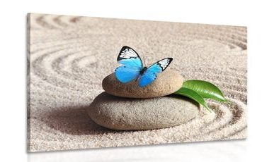 CANVAS PRINT BLUE BUTTERFLY IN A ZEN GARDEN - PICTURES FENG SHUI - PICTURES