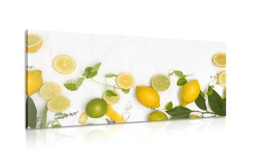 CANVAS PRINT MIX OF CITRUS FRUITS - PICTURES OF FOOD AND DRINKS - PICTURES