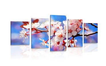 5-PIECE CANVAS PRINT CHERRY BLOSSOM - PICTURES FLOWERS - PICTURES