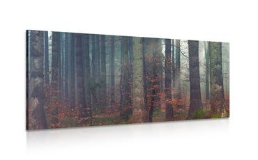 WANDBILD GEHEIMNIS DES WALDES - BILDER VON NATUR UND LANDSCHAFT - BILDER