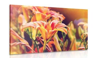 CANVAS PRINT BEAUTIFUL BLOOMING FLOWERS IN THE GARDEN - PICTURES FLOWERS - PICTURES