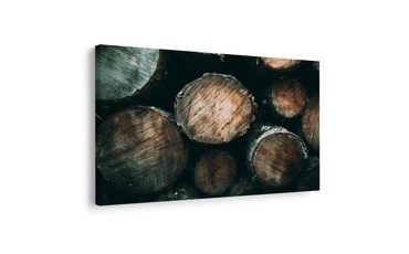 QUADRO SU TELA – TRONCHI DI LEGNO DA VICINO - QUADRI ALBERI E FOGLIE - STAMPE E QUADRI