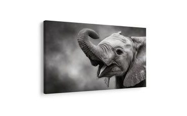 SLIKA SLONČE U CRNO-BIJELOJ - SLIKE SLONOVA - SLIKE