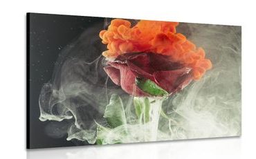Slika ruža s apstraktnim elementima