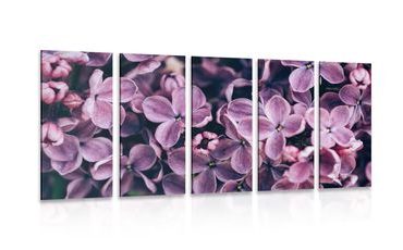 5-PIECE CANVAS PRINT PURPLE LILAC FLOWERS - PICTURES FLOWERS - PICTURES