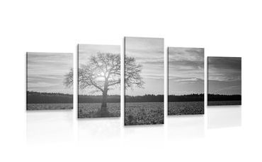 5-PIECE CANVAS PRINT LONELY TREE IN BLACK AND WHITE - BLACK AND WHITE PICTURES - PICTURES