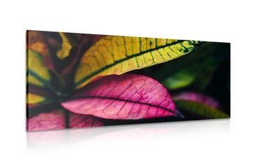 WANDBILD FRISCHE BLÄTTER - BILDER VON NATUR UND LANDSCHAFT - BILDER