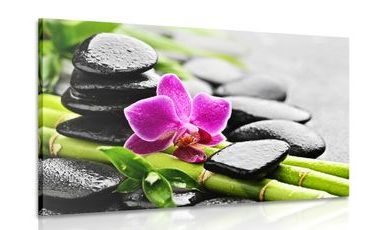 Canvas print Spa still life with a purple orchid