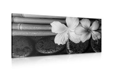 CANVAS PRINT WELLNESS STILL LIFE IN BLACK AND WHITE - BLACK AND WHITE PICTURES - PICTURES