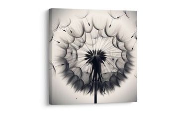 OBRAZ DETAILNÍ PAMPELIŠKA - OBRAZY PAMPELIŠKA - OBRAZY