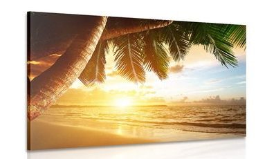 CANVAS PRINT SUNRISE ON A CARIBBEAN BEACH - PICTURES OF NATURE AND LANDSCAPE - PICTURES